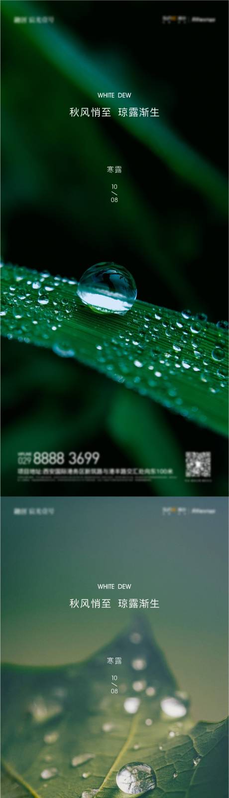 源文件下載【享設計】搜索編號：96980012348814083【寒露 】