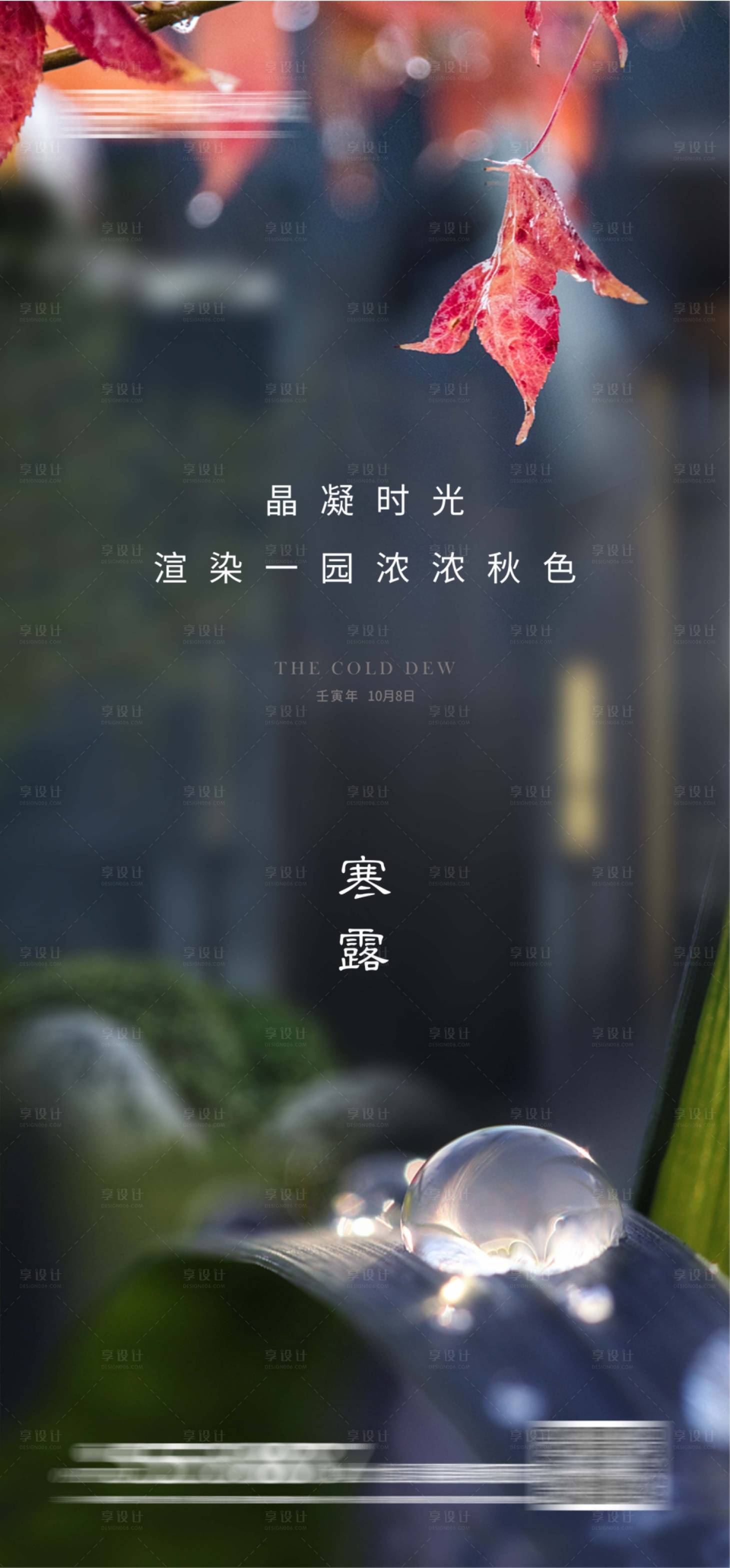 源文件下載【寒露節氣海報】編號：79060012479838047