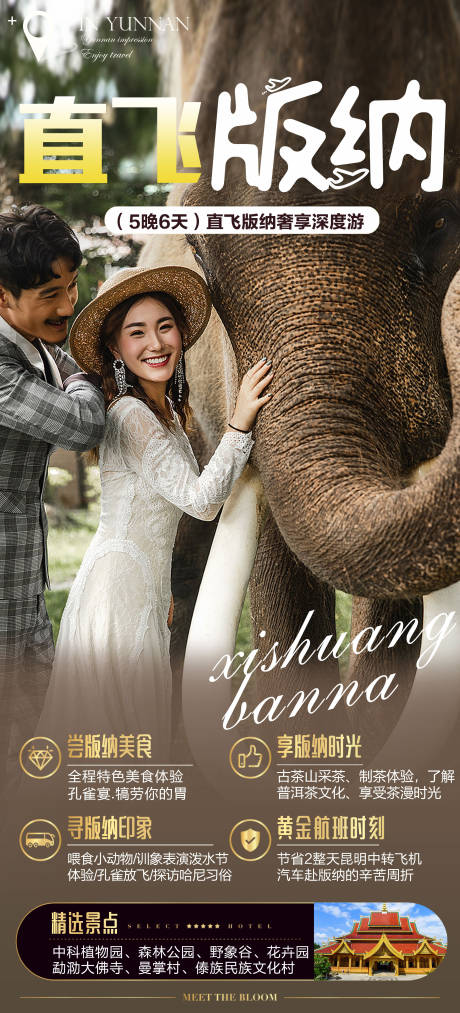 源文件下载【享设计】搜索编号：96620012198094581【西双版纳旅游海报】