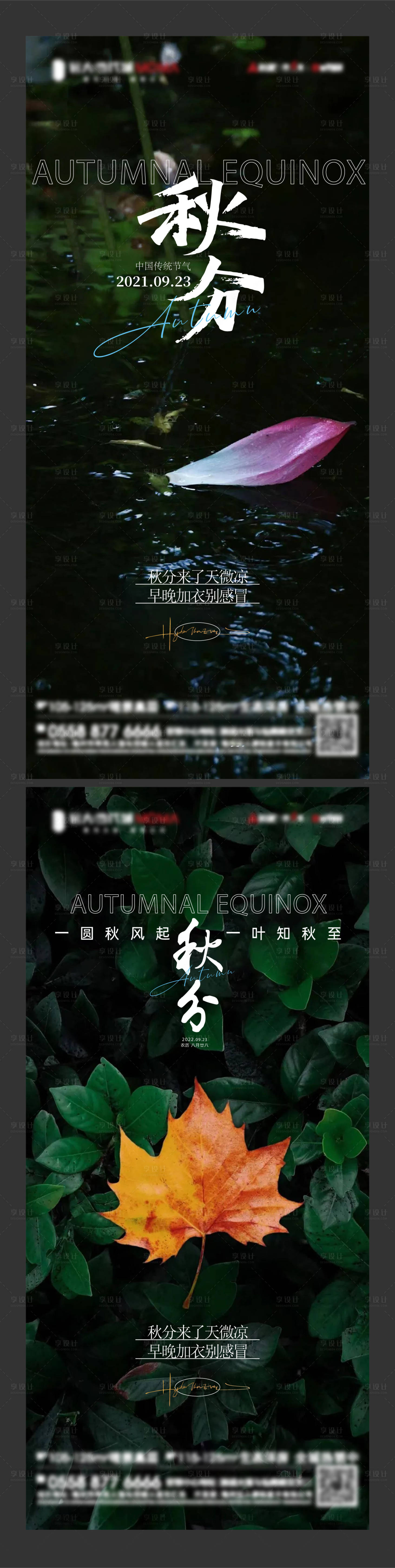 源文件下载【秋分系列海报】编号：95090012290854369