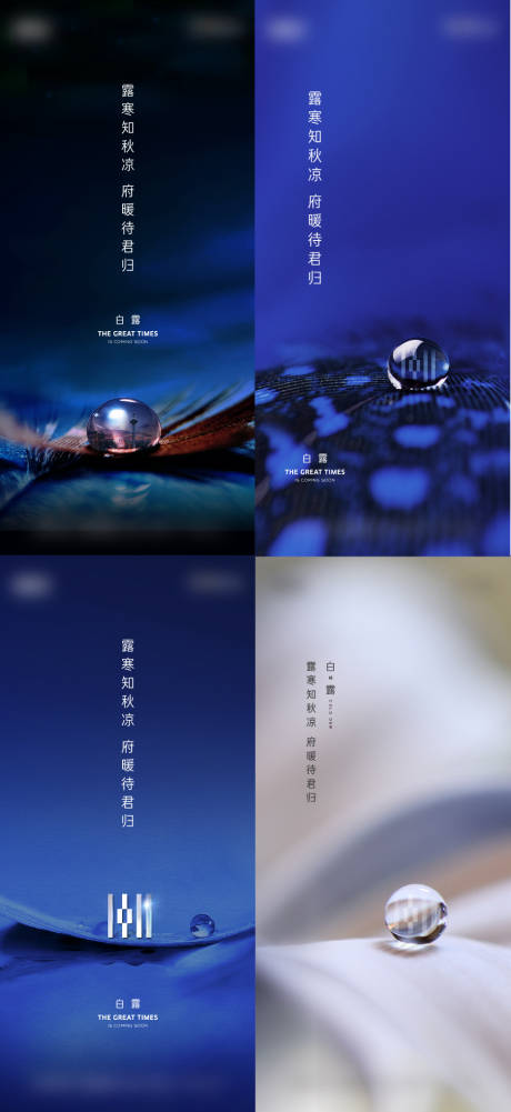 源文件下载【地产节气白露海报】编号：56310012036885945