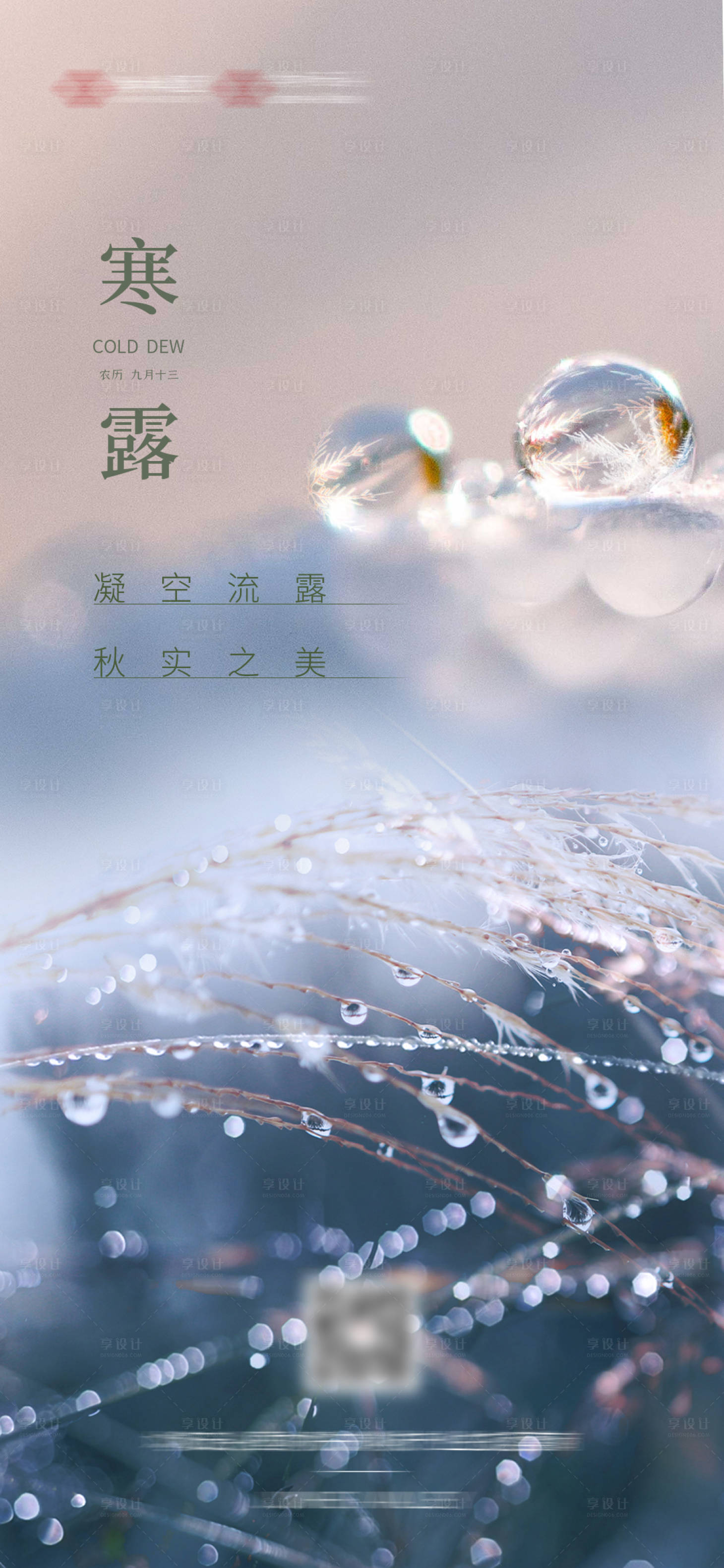 源文件下載【享設計】搜索編號：56540012487608592【寒露海報】