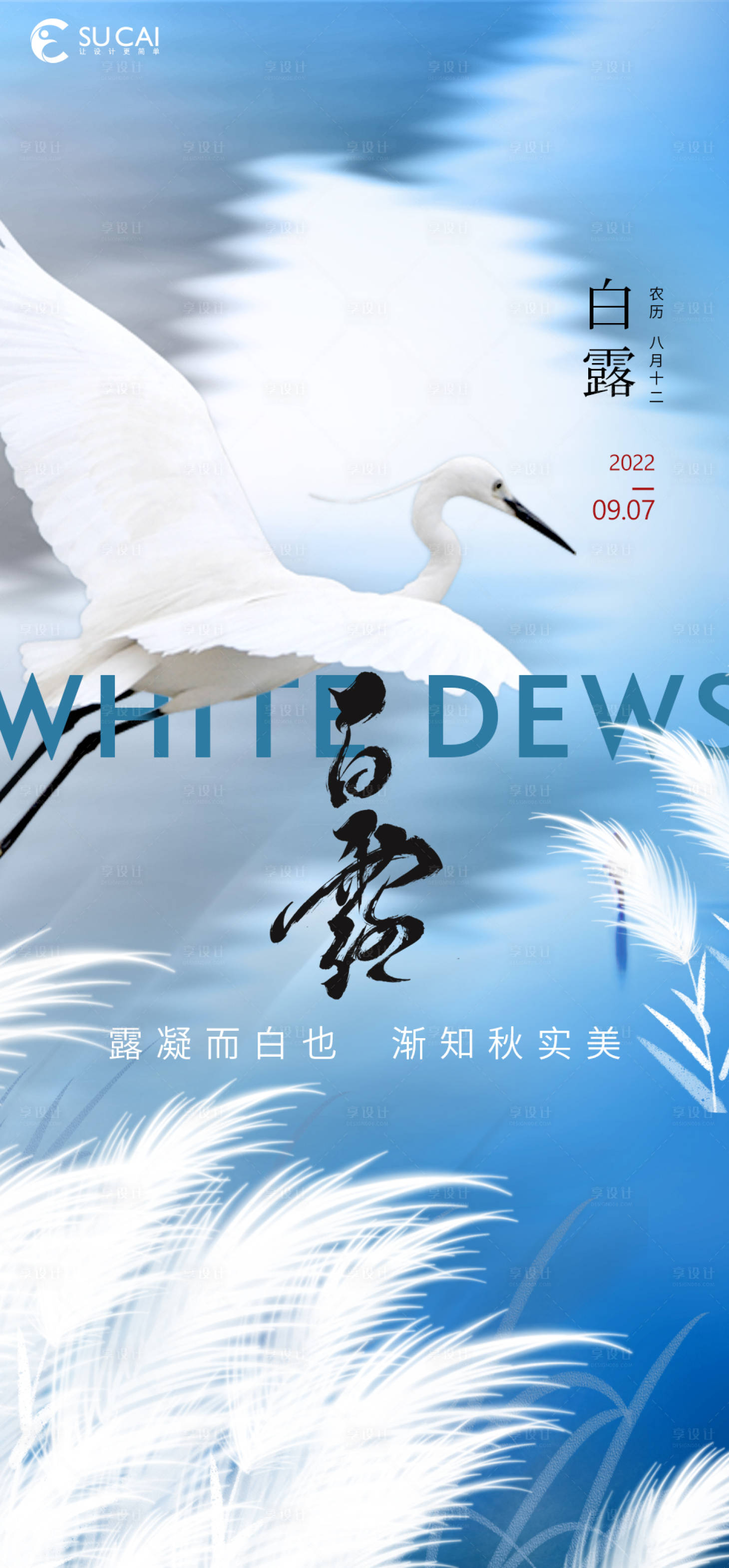 源文件下载【享设计】搜索编号：25210012054234962【白露】