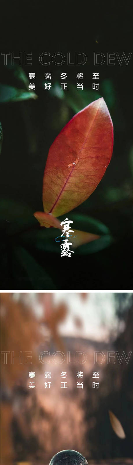 源文件下载【寒露节气系列海报】编号：27050012053084008