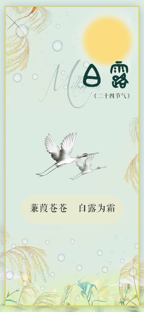 源文件下载【白露二十四节气】编号：32770012027736537