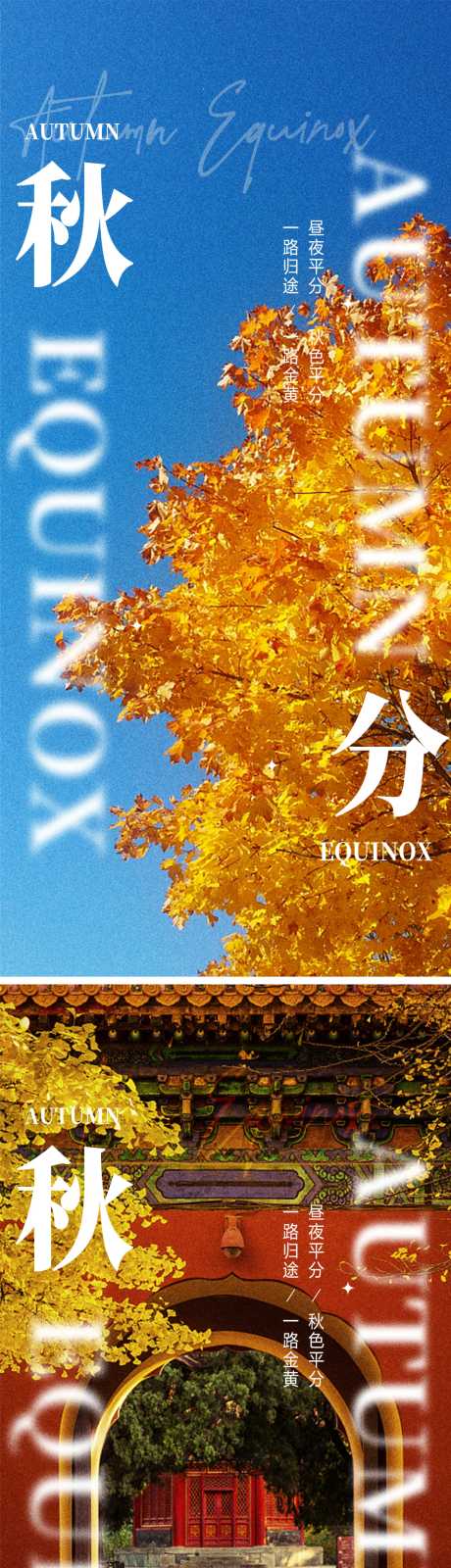 源文件下载【秋分节气银杏树落叶】编号：91190012241799733