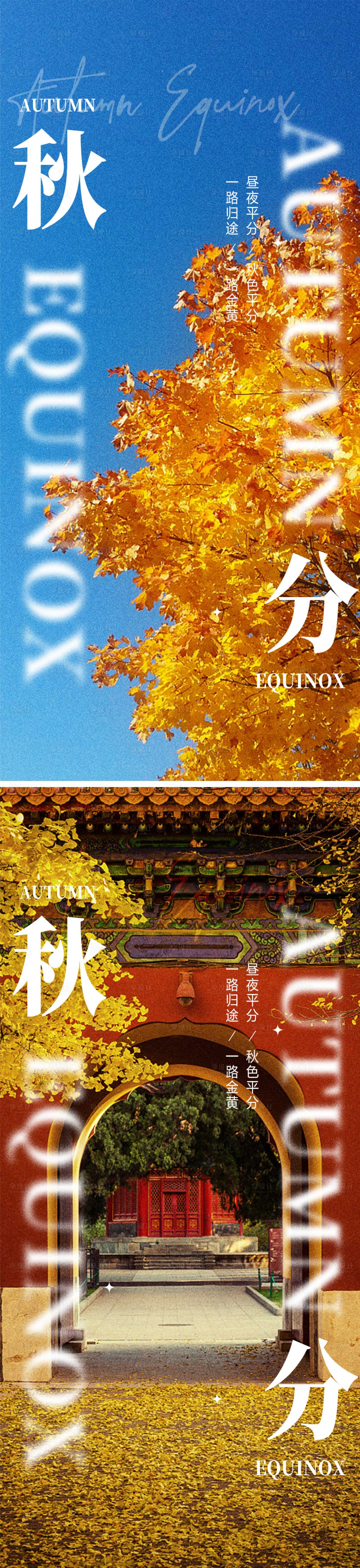源文件下載【秋分節氣銀杏樹落葉】編號：91190012241799733