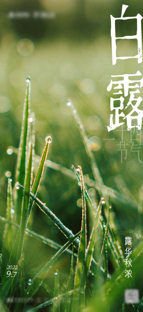 源文件下载【二十四节气白露】编号：62830012108826631
