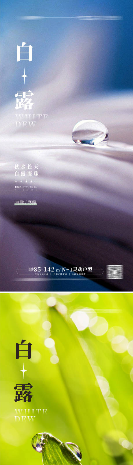 源文件下载【地产白露寒露海报】编号：73030011975571415