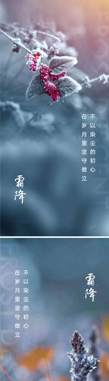 源文件下载【霜降海报】编号：20220907141445177