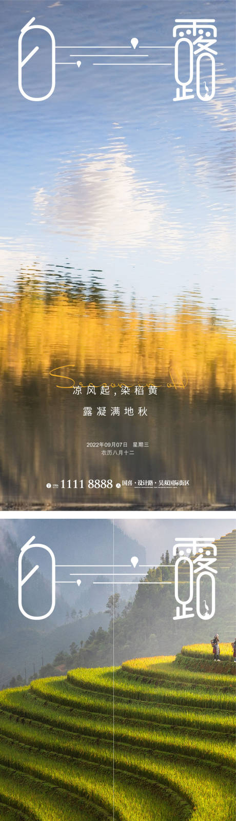 源文件下載【白露節氣海報】編號：57590012029555847