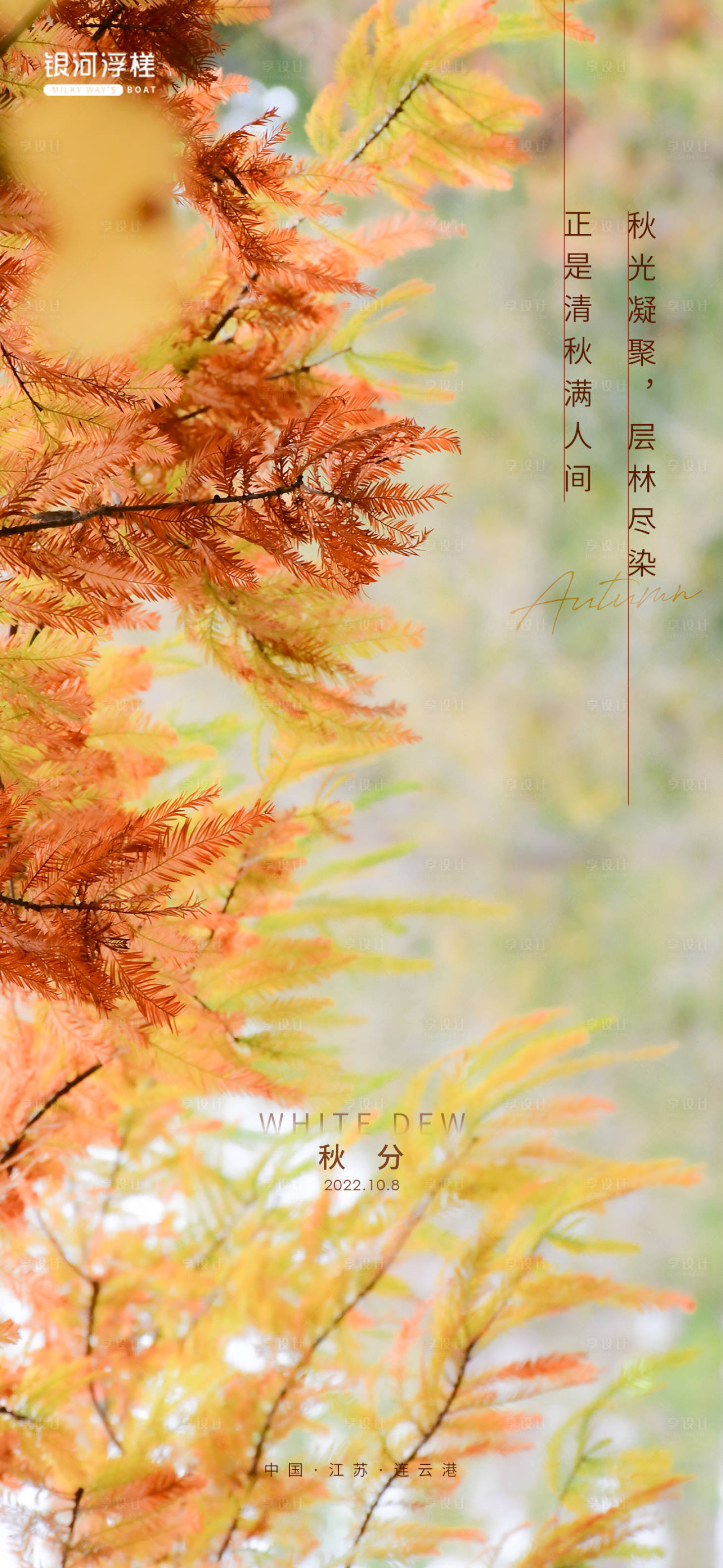 源文件下载【秋分节气海报】编号：52880012312199662