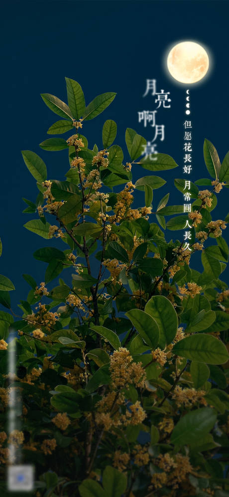 源文件下载【中秋节海报】编号：40190012128034168