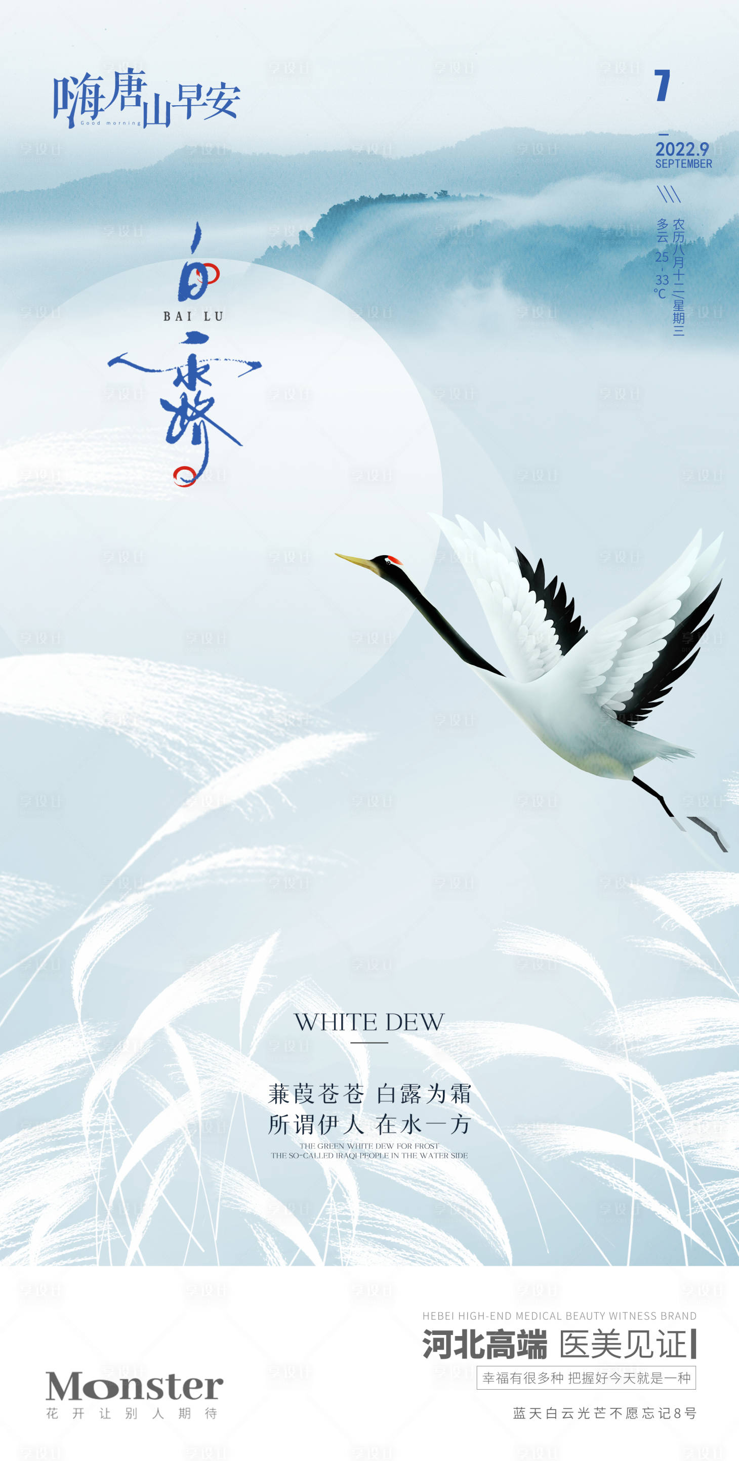 源文件下载【医美白露海报】编号：93660012030065641