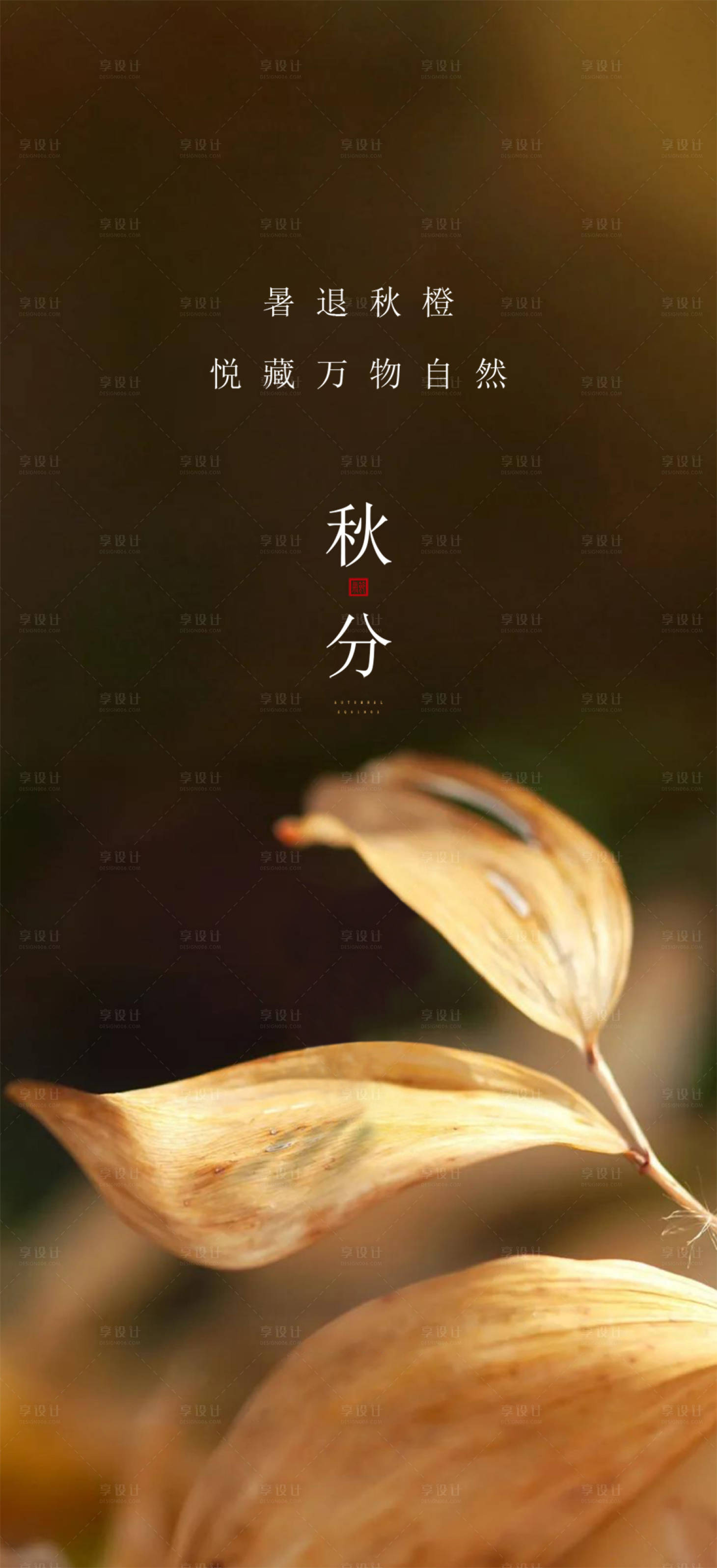 源文件下载【享设计】搜索编号：24980012321307928【秋分海报】