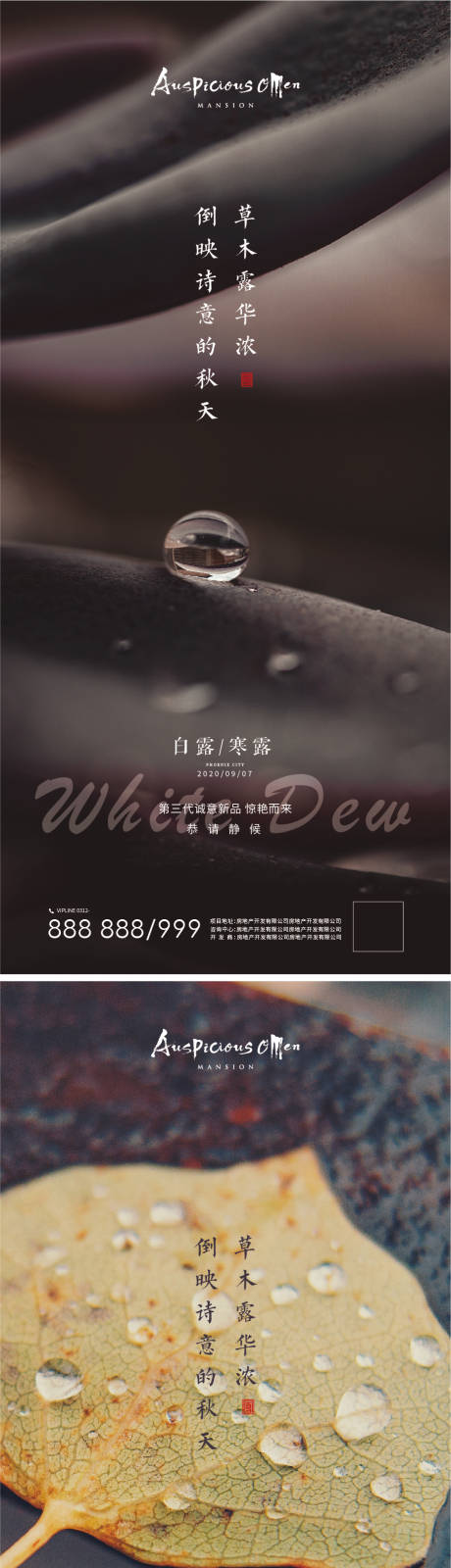 源文件下载【白露寒露节气海报】编号：55420012012444328