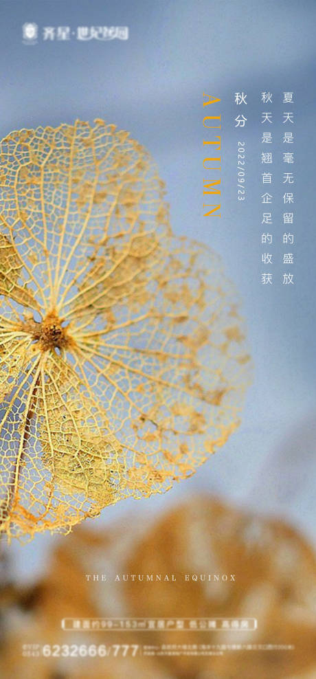 源文件下载【秋分海报】编号：64180012275476850