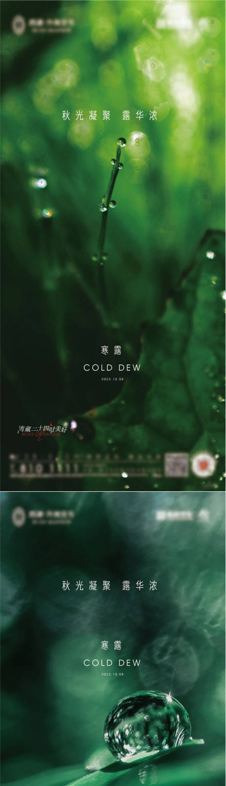 寒露霜降节气意境系列海报-源文件【享设计】