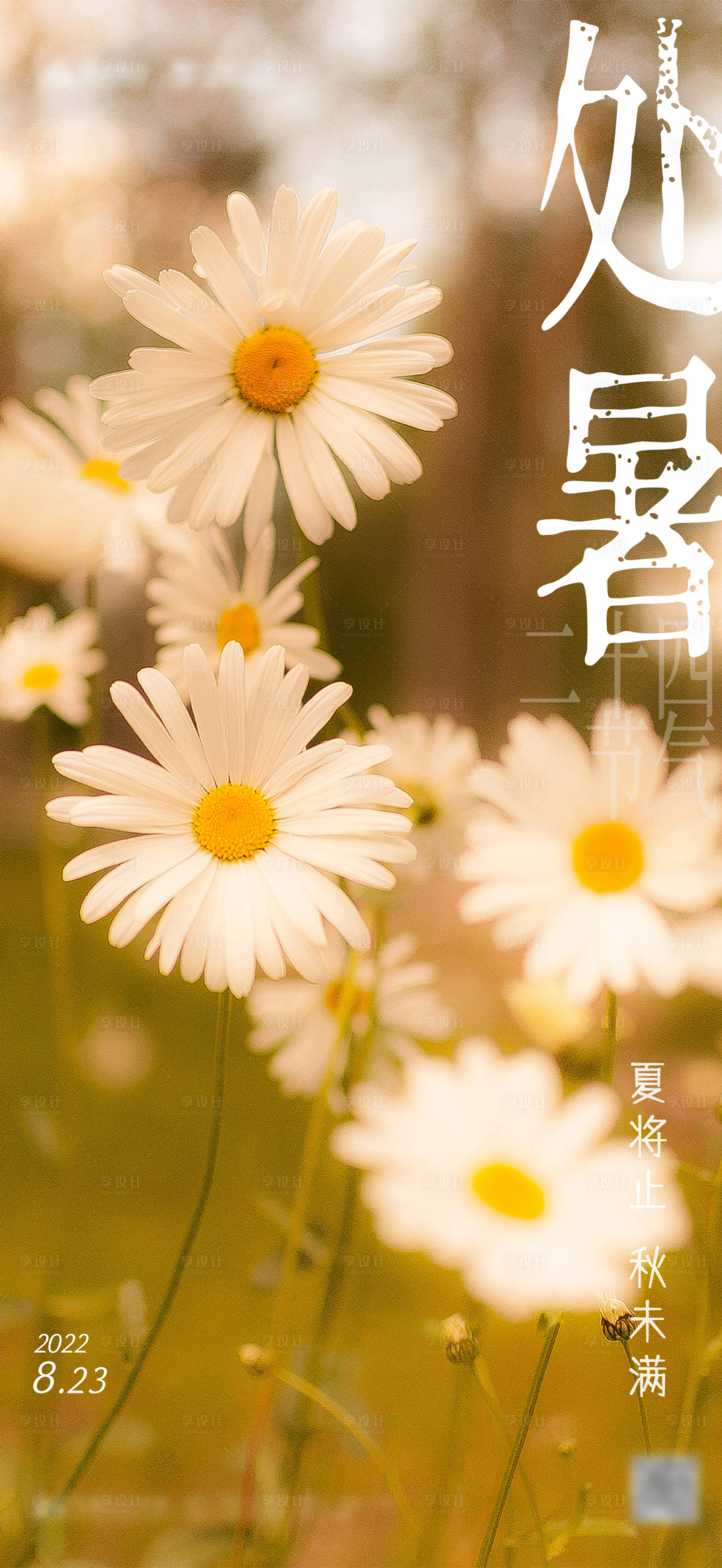 源文件下载【处暑海报】编号：35560012123388655