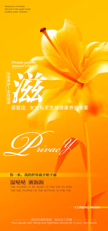 源文件下载【医美私密海报】编号：89960012376921278