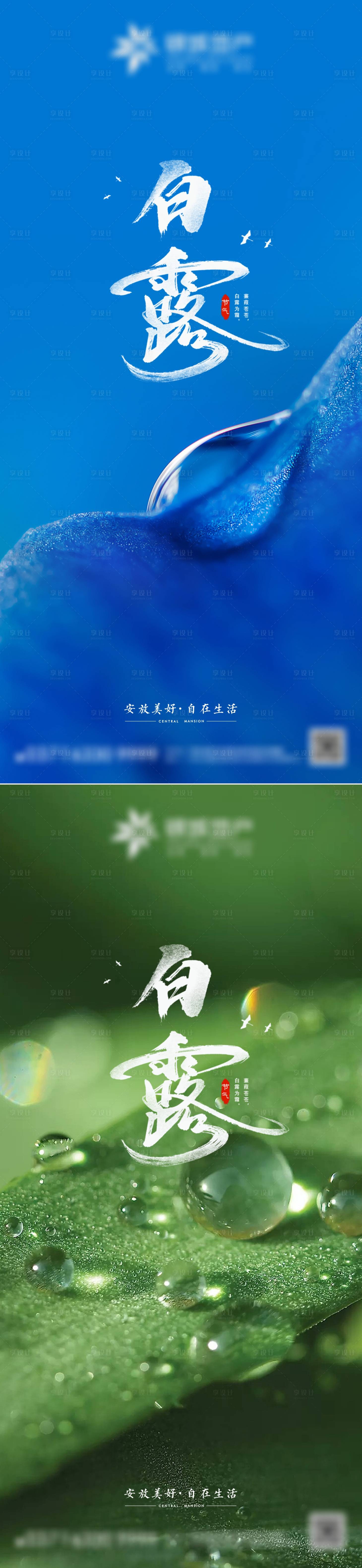 源文件下載【享設計】搜索編號：66180012024778599【白露節氣海報】