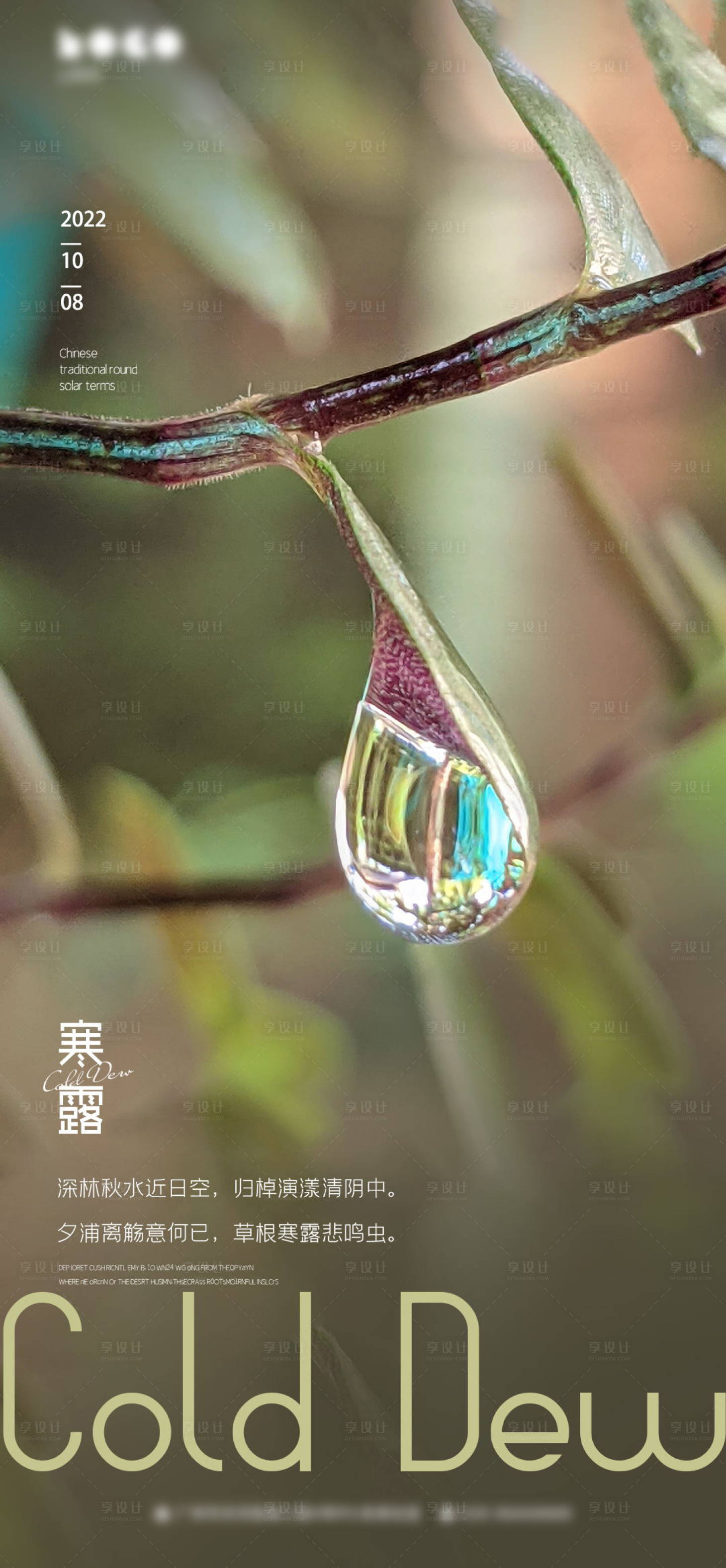 源文件下载【享设计】搜索编号：74260012354915486【寒露节气海报】