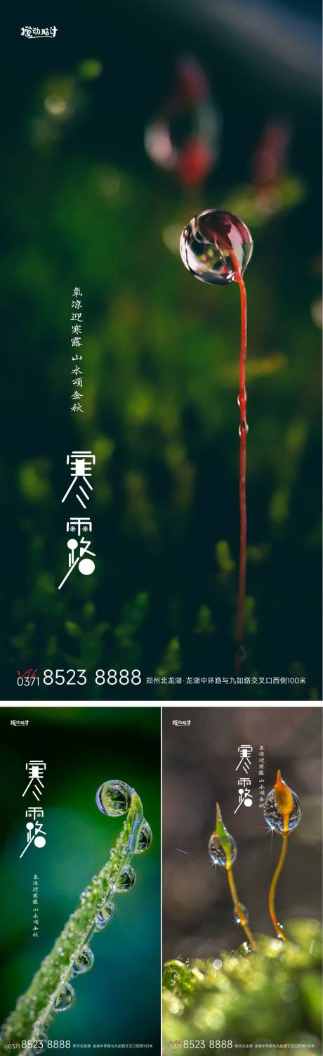 源文件下載【享設計】搜索編號：71570012429108518【寒露節(jié)氣海報】