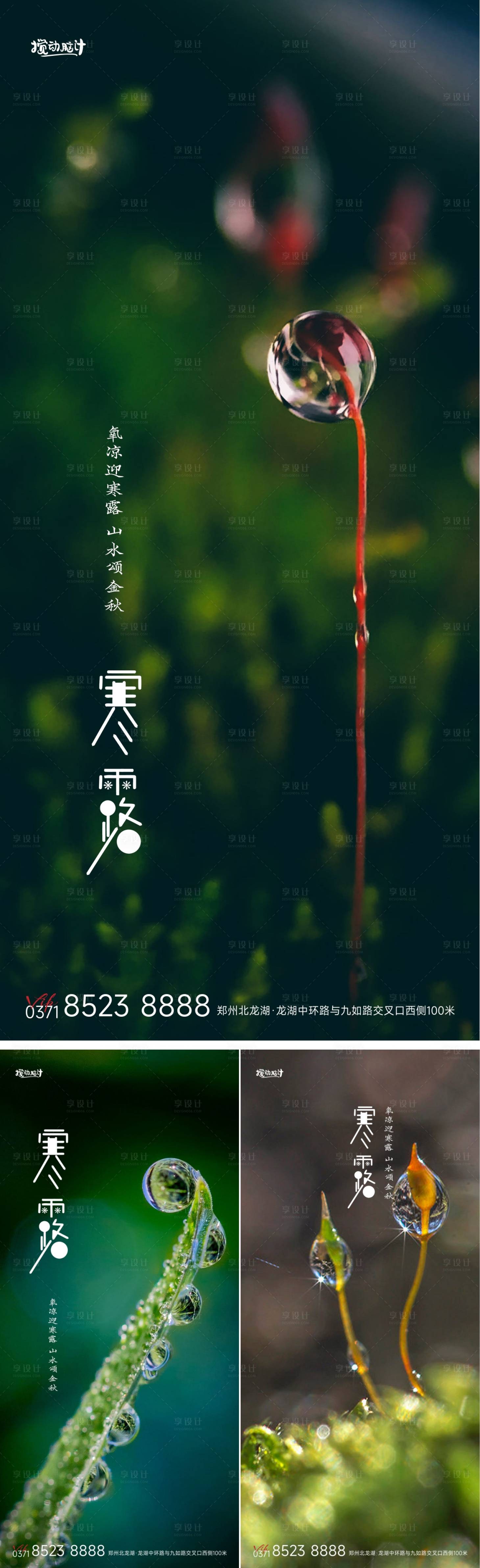 源文件下載【享設計】搜索編號：71570012429108518【寒露節氣海報】