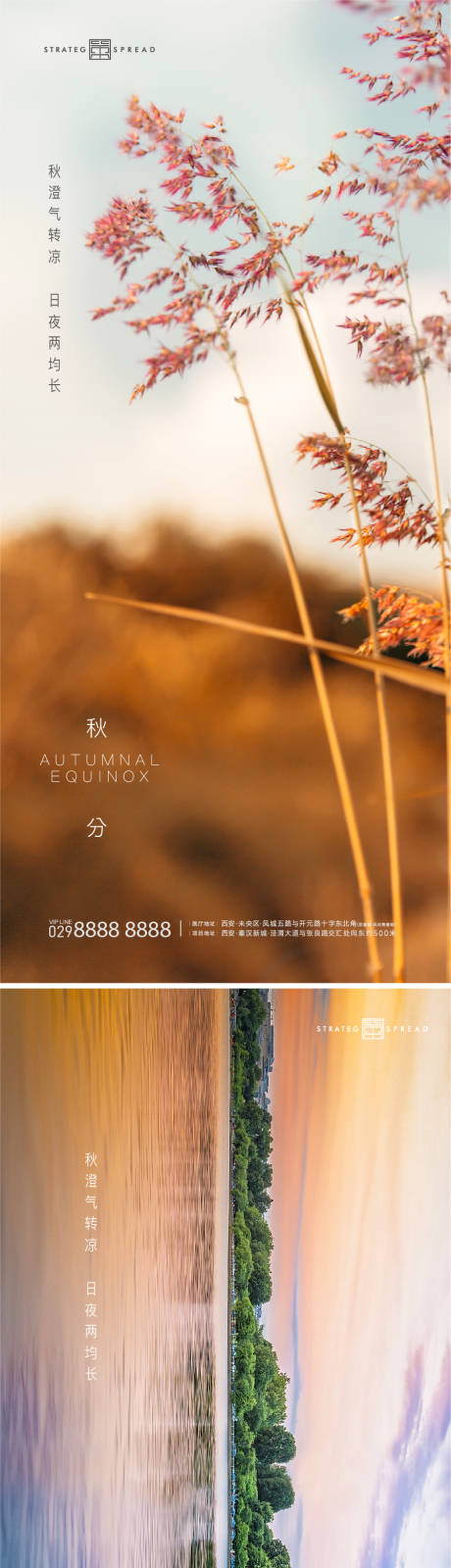 源文件下载【秋分节气系列海报】编号：84420012246859795