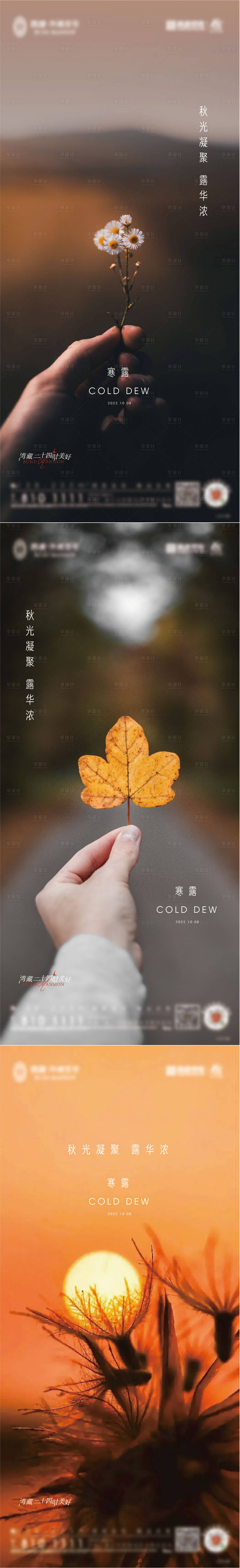 源文件下载【享设计】搜索编号：58640012412528297【寒露意境系列海报】