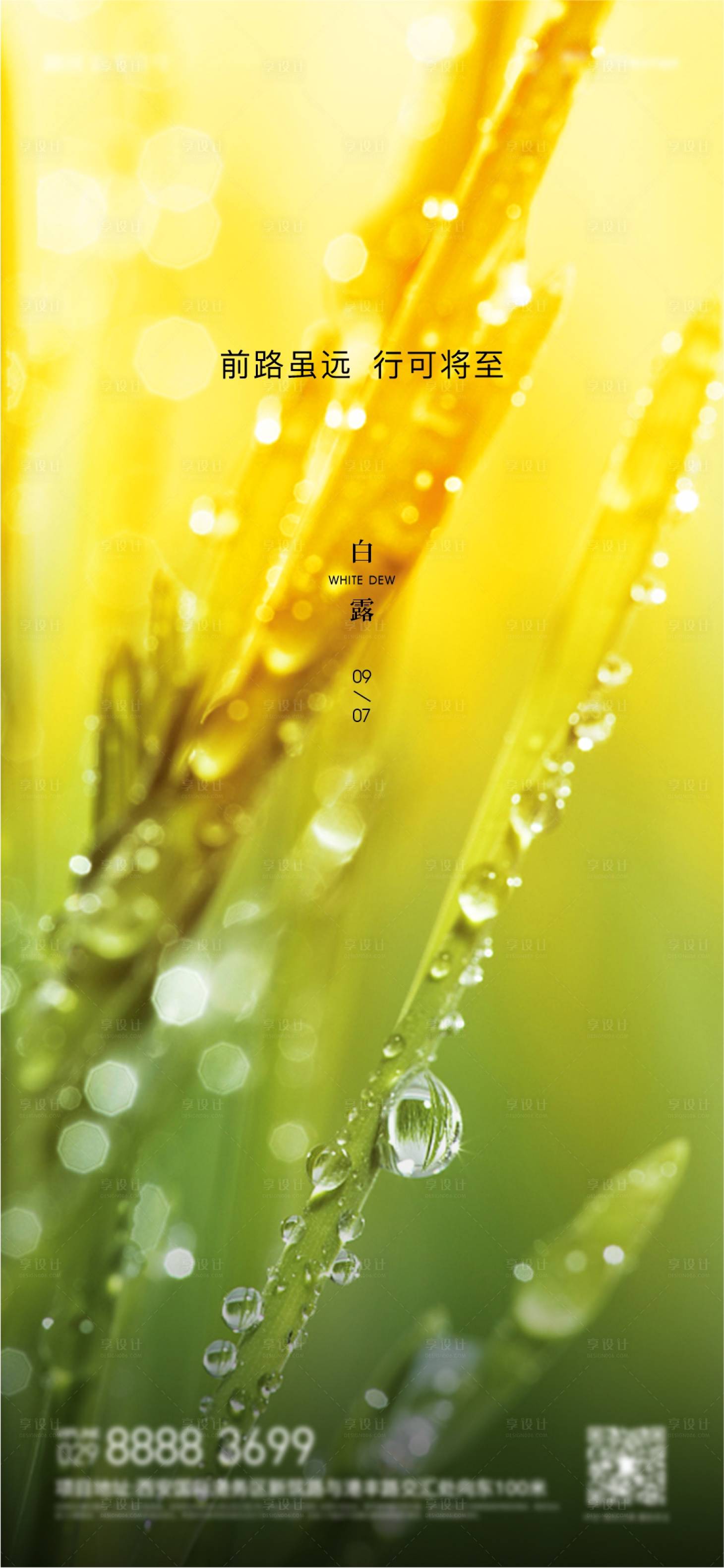源文件下載【享設計】搜索編號：62480011990326977【白露海報】