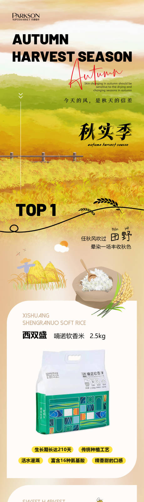 源文件下載【秋季長圖推文】編號：65500012227352472