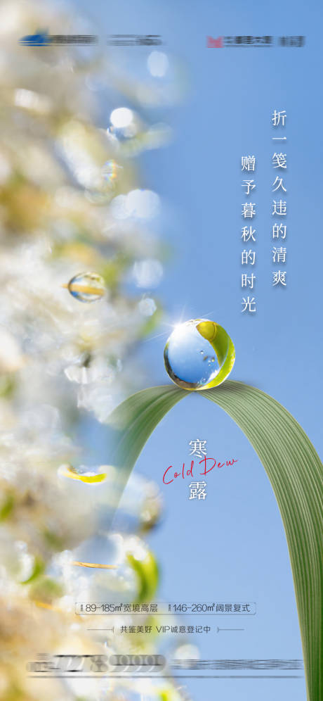 源文件下载【寒露节气海报】编号：88910012495003752