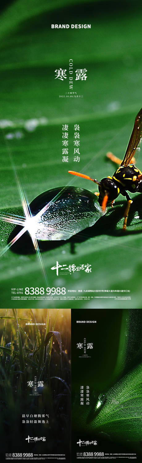 源文件下载【寒露节气系列海报】编号：86990012454843988
