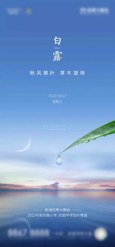 源文件下载【白露海报】编号：32600012079168714