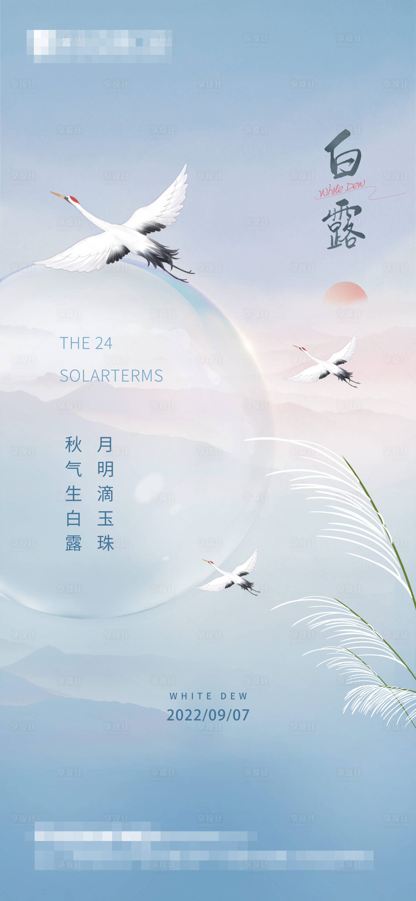 源文件下载【白露节气海报】编号：92260012048762315
