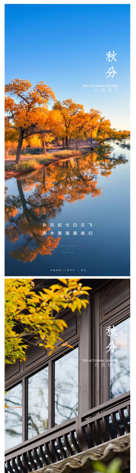 源文件下载【秋分节气海报】编号：88500012285208973