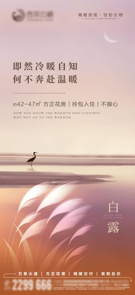 源文件下载【地产白露节气海报】编号：43460011991643203