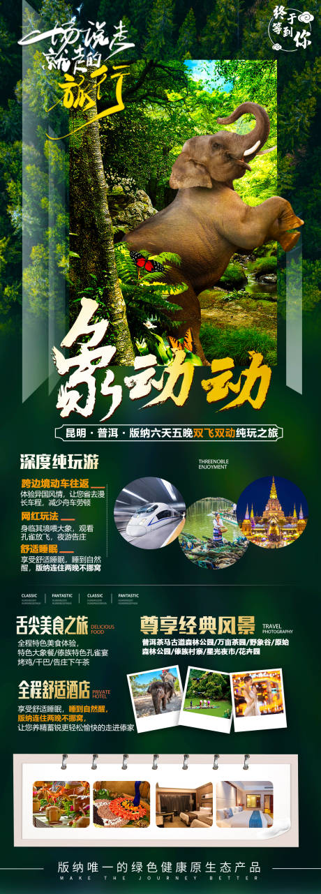 源文件下载【西双版纳旅游海报】编号：50430012187795835