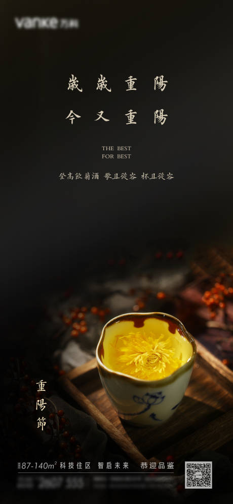 源文件下载【重阳节九月九菊花】编号：72140012348907902