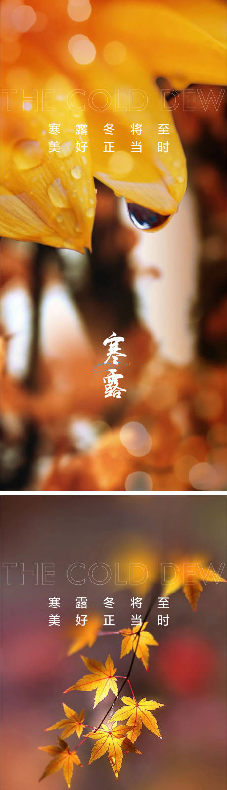 源文件下载【寒露节气海报】编号：18210012053256688