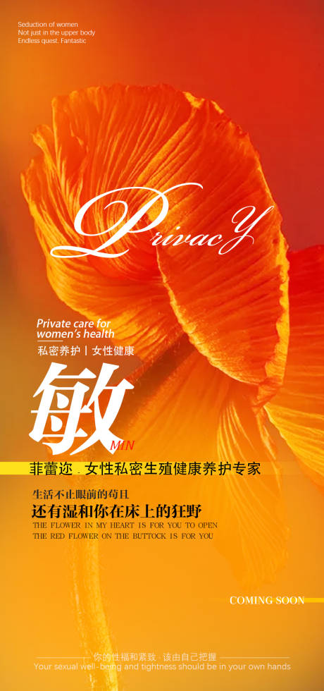 源文件下载【私密海报】编号：25010012376522681
