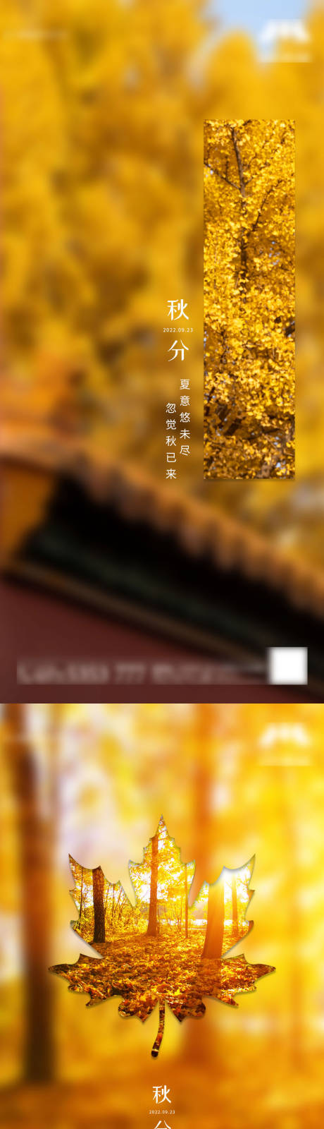源文件下载【秋分系列海报】编号：31140012263148089