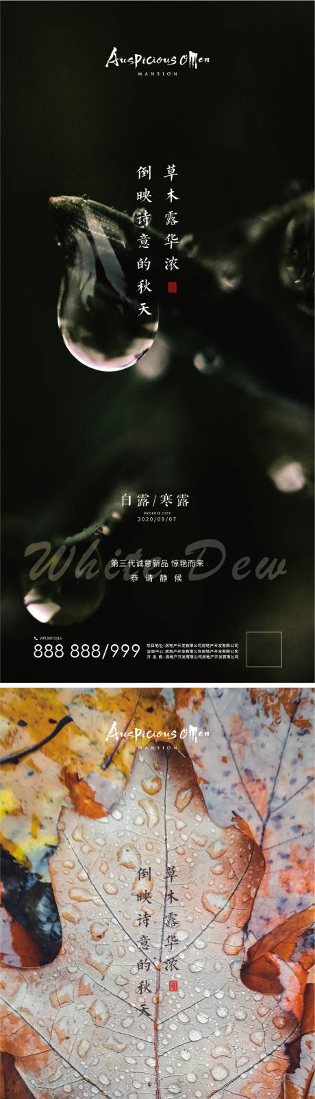 源文件下载【白露节气海报】编号：41740012012467934