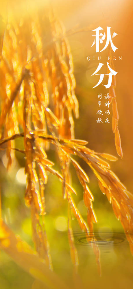 源文件下載【享設計】搜索編號：63530012319172910【秋分節氣海報】