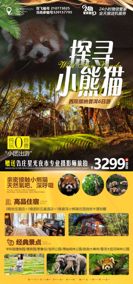 源文件下载【探寻小熊猫旅游海报】编号：17910012481192868