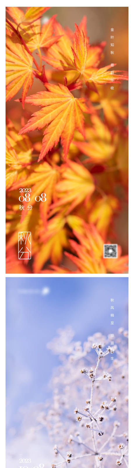 源文件下载【享设计】搜索编号：35920012245218530【秋分寒露霜降节气海报】