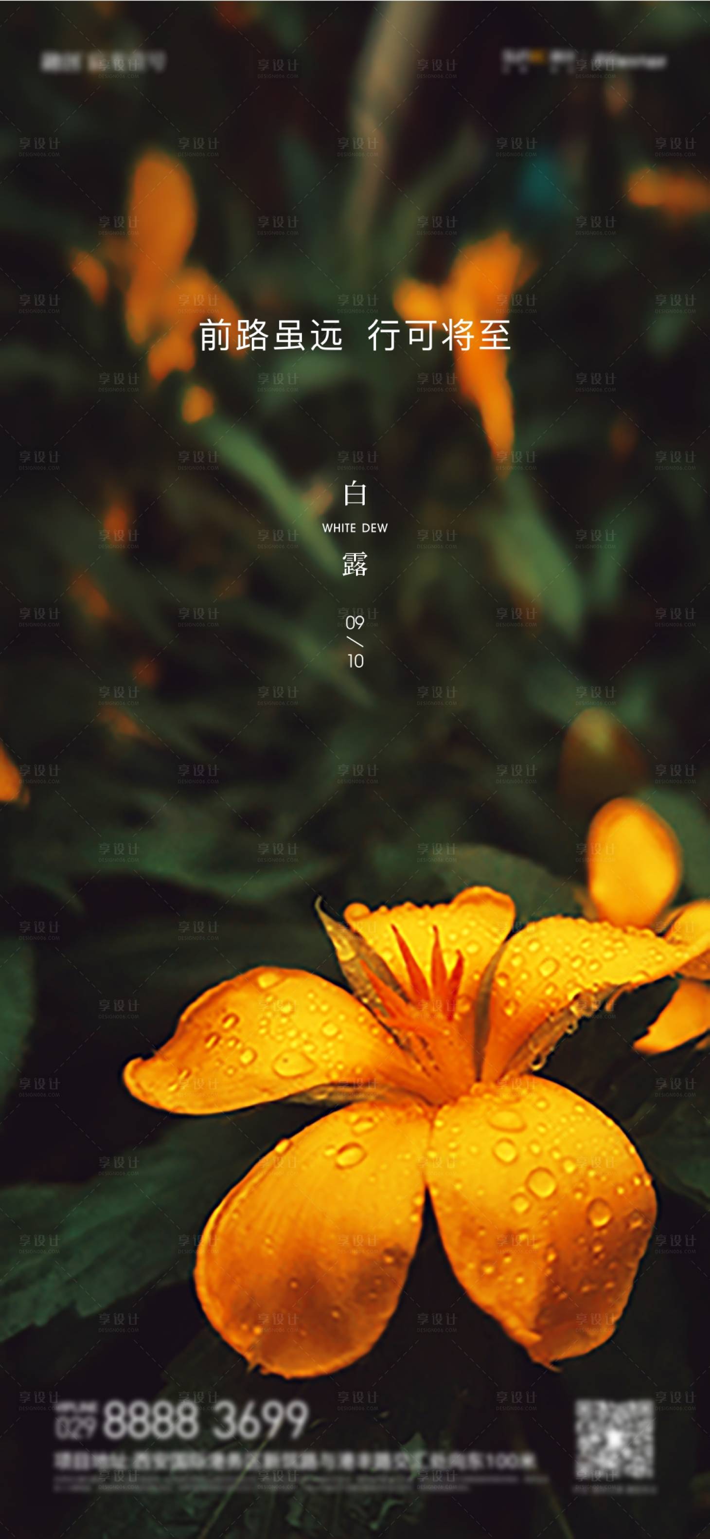 源文件下載【白露海報(bào)】編號(hào)：56310011990383972