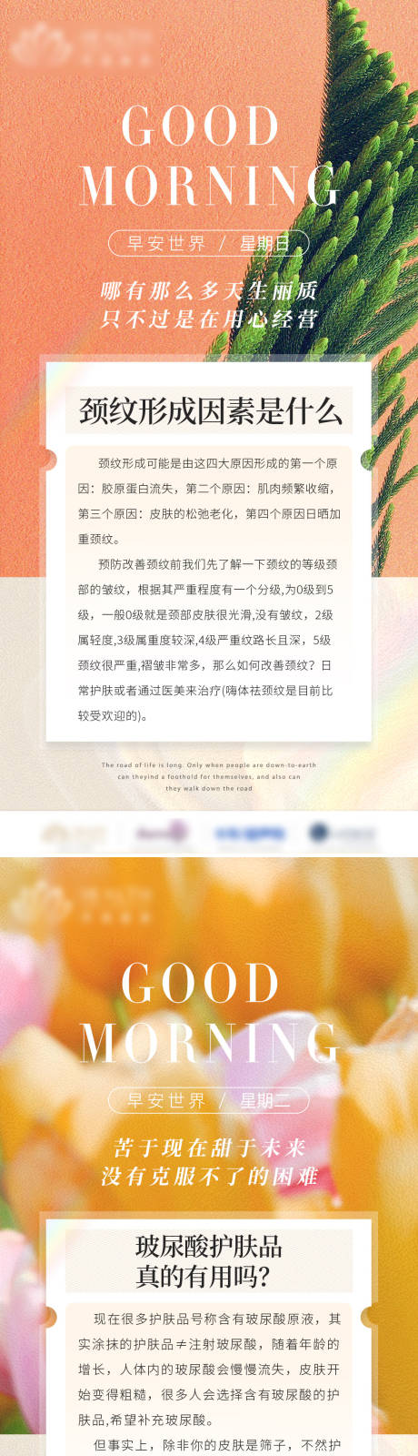 源文件下载【医美科普早安图】编号：67380012401834311