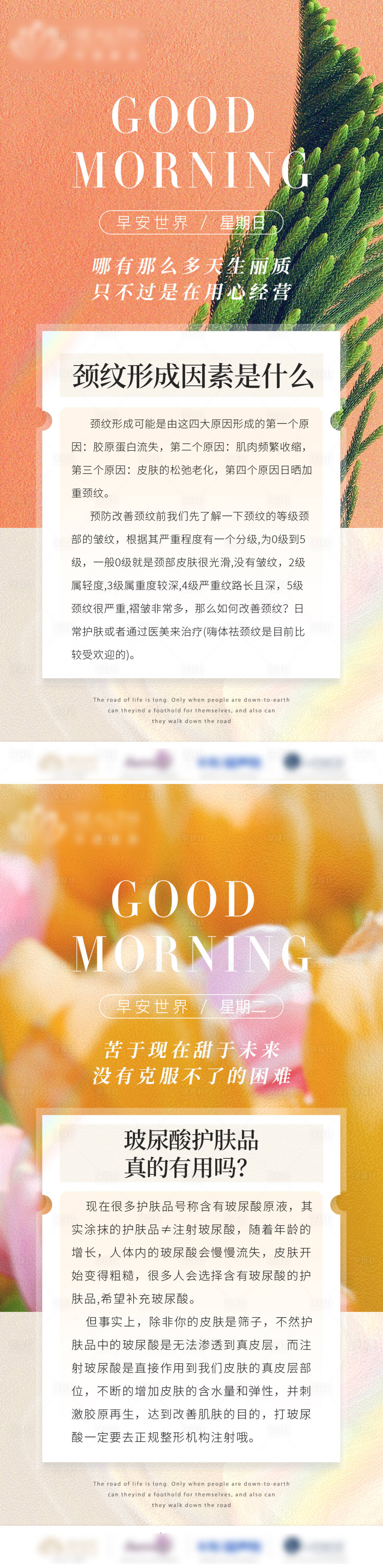 源文件下载【医美科普早安图】编号：67380012401834311